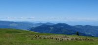 Hotel in Bad Krozingen mit Alpenblick und Wanderwegen